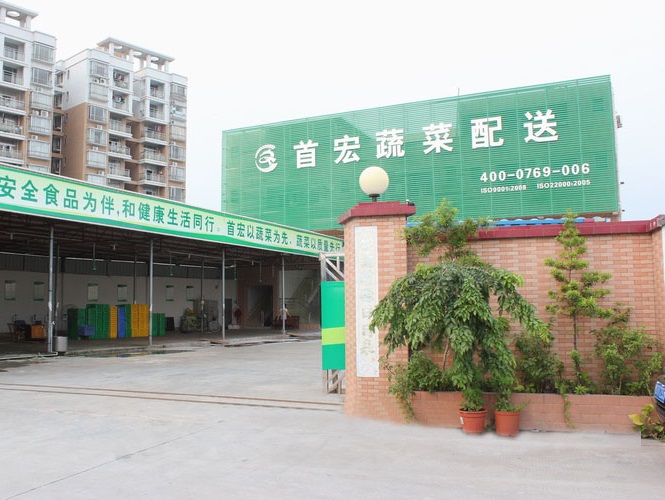 东莞蔬菜配送公司|食材配送中心|东莞粮油配送|东莞首宏膳食-首宏蔬菜配送